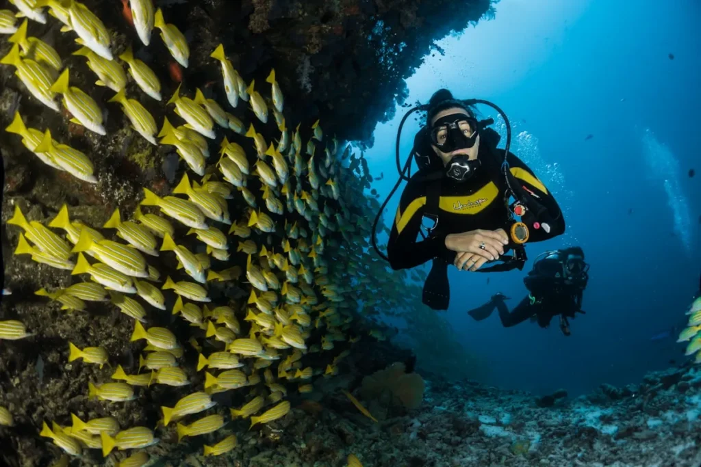 Glass bottom boat tour viewing colorful coral reef in Tanjung Benoa Bali