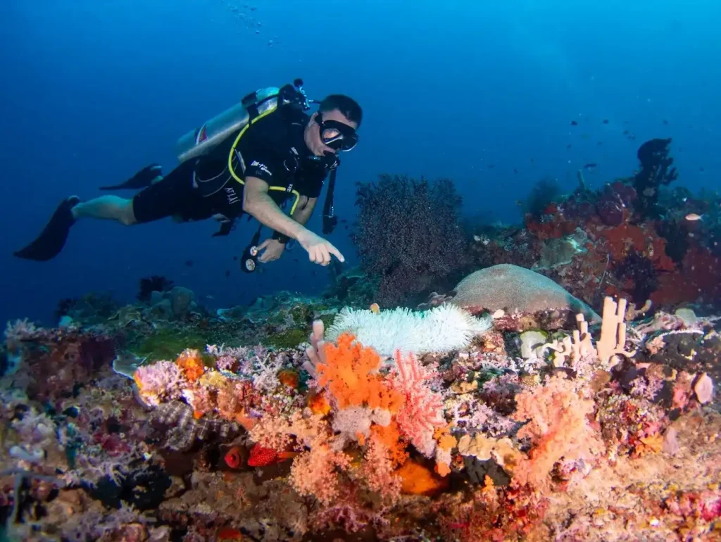 Celebrating New Year’s 2027 at Turtle Island Bali: Packages & Events