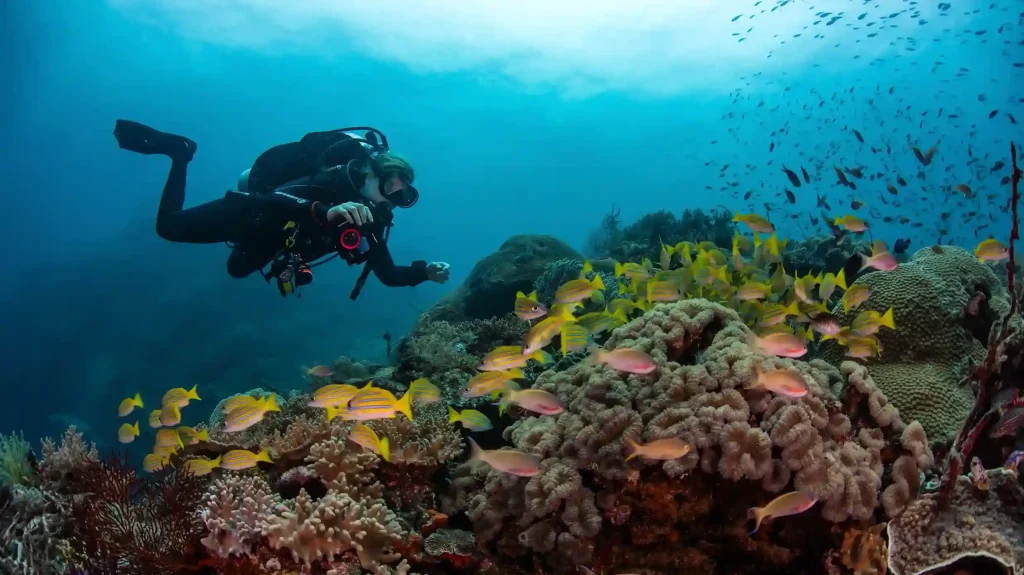 Who Is PT Bali Turtle Island Development (BTID)? Developer Profile 2027