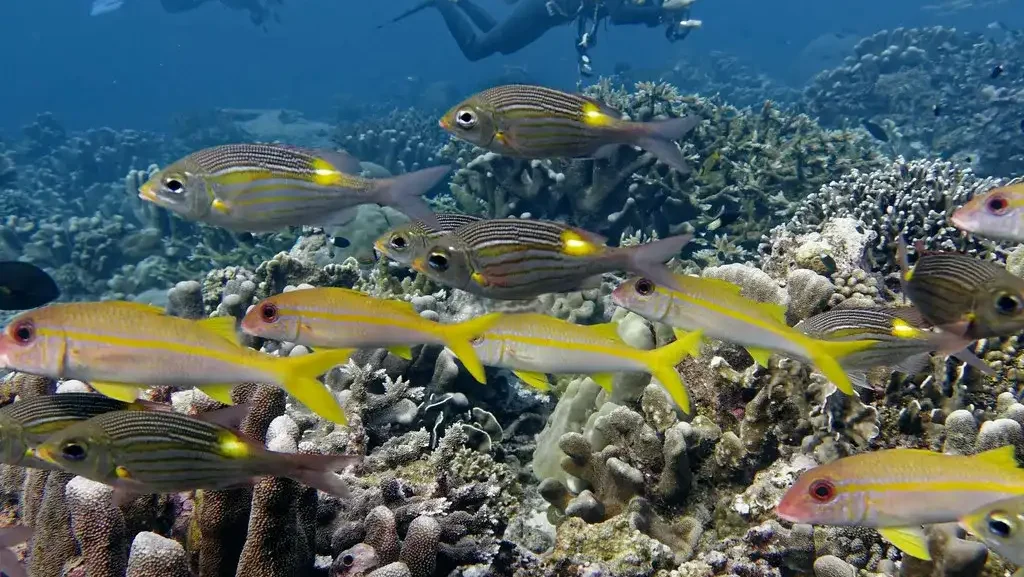 Family Fun: Best Turtle Island Bali Activities for Kids in 2027