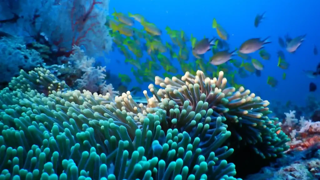 Indonesia Beyond the Beaches: Discovering Komodo & Flores