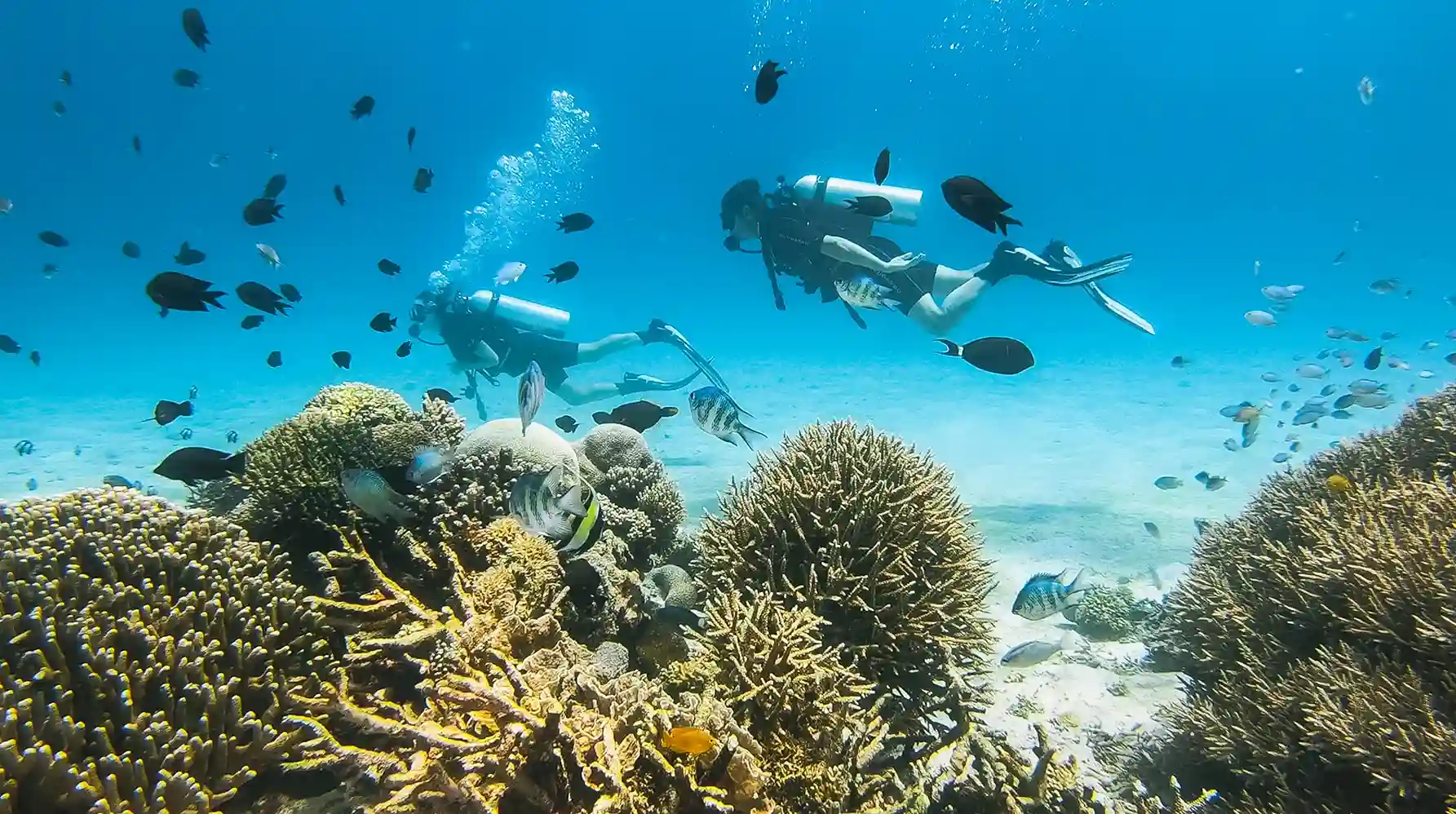 Beyond Bali: Komodo Dragons in 3 Days, 2 Nights